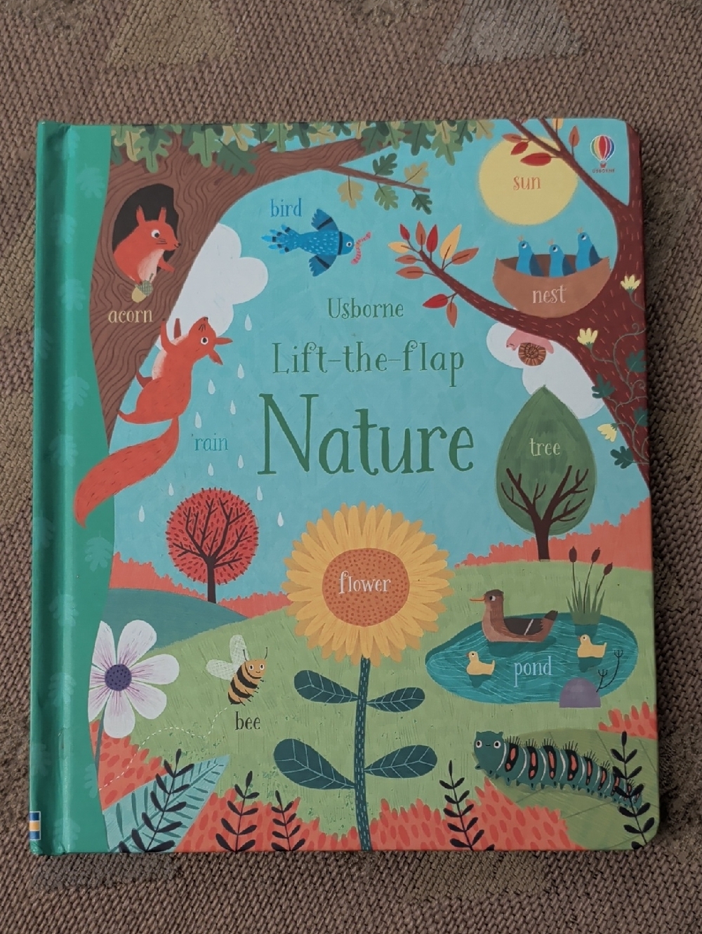 Usborne Lift The Flap NATURE kids book